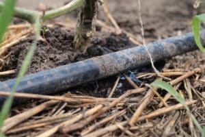 what is drip irrigation