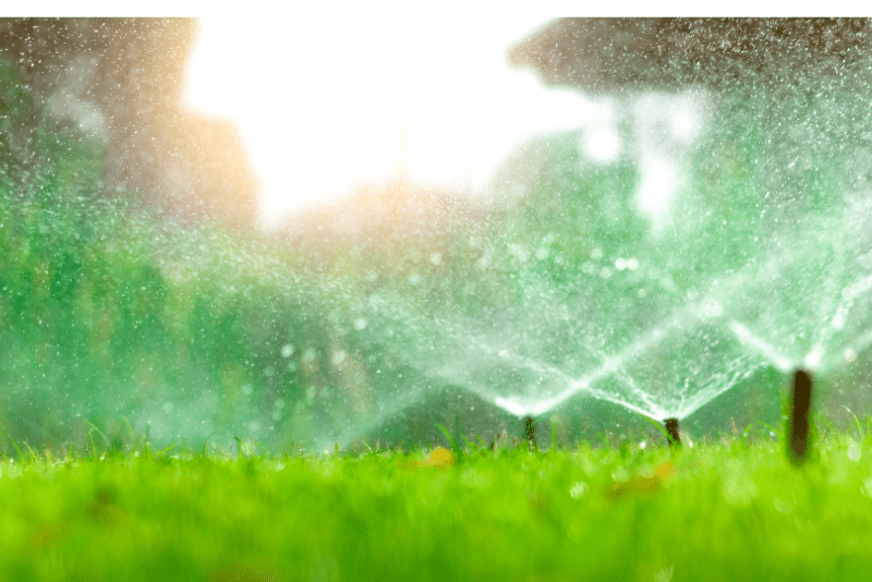 when is the best time to water my lawn