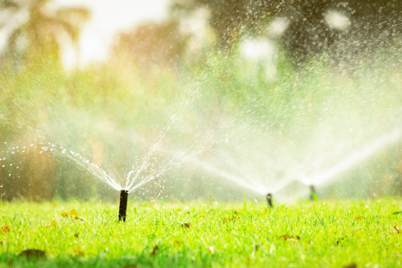 how will my lawn look after a sprinkler system is installed