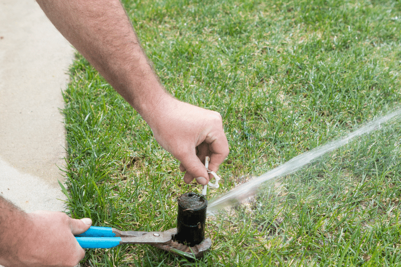 Maintaining a sprinkler head