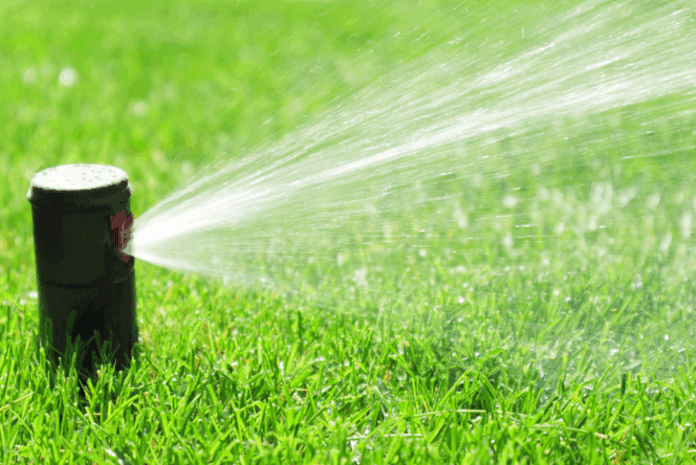A closer look at Eco Friendly Couple Home Maintenance Tips