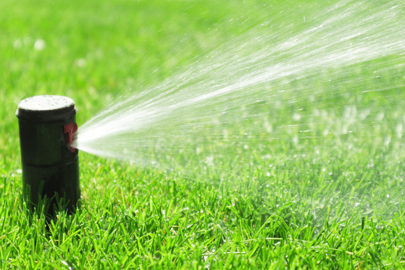 sprinkler system spray heads overview