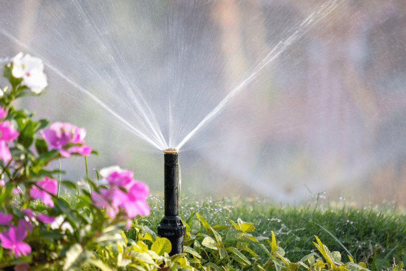 Eco-friendly irrigation system Ohio watering lawn roots efficiently