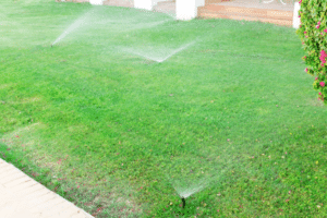 sprinkler system divided into zones