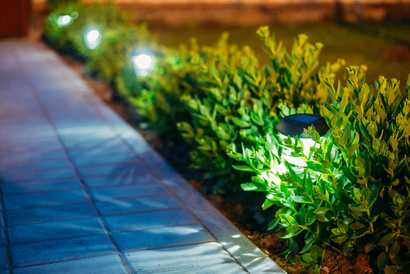 Low-Voltage Landscape Lighting Maintenance (1)
