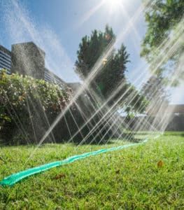 Soaker hose example from types of sprinkler systems Cleveland, Ohio gardens