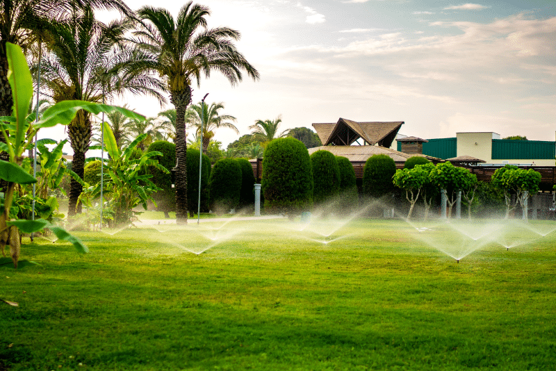 lawn watering savings Cleveland NEORSD Summer Sprinkling Program Sprinkler Savings