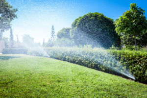 sprinkler system use Cleveland NEORSD Summer Sprinkling Program Sprinkler Savings