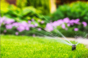 lawn watering, Cleveland water restrictions, sprinkler systems