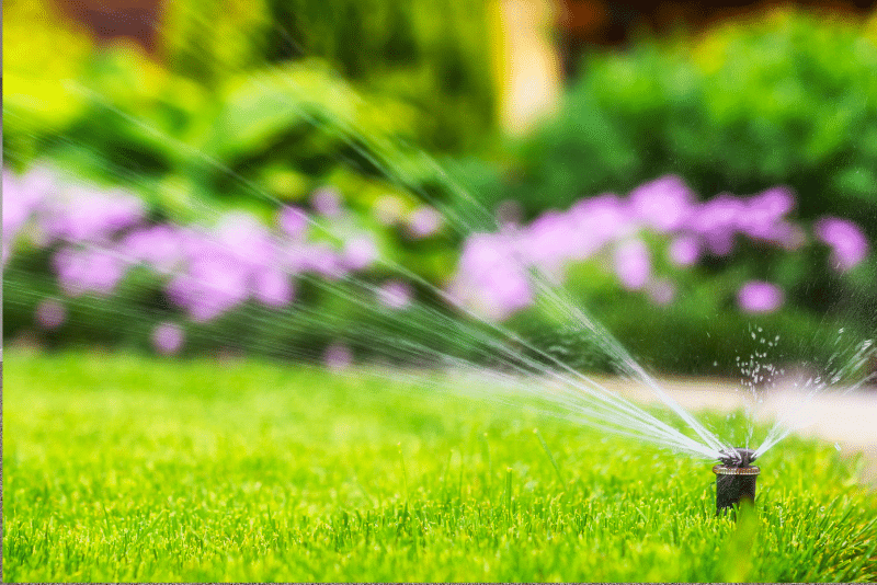 lawn watering, Cleveland water restrictions, sprinkler systems