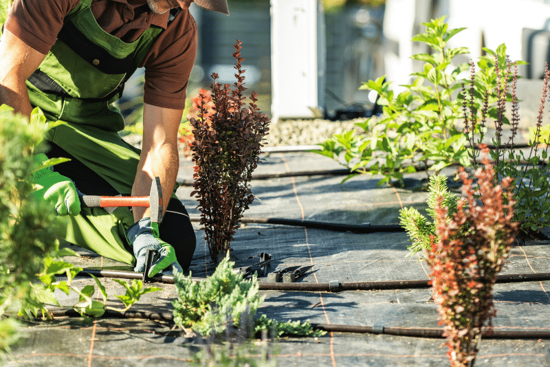 Man installing a sprinkler system in a backyard garden while working on a residential irrigation project related to irrigation permit cost
